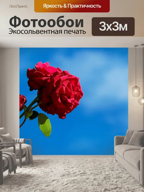 Фотообои Розы