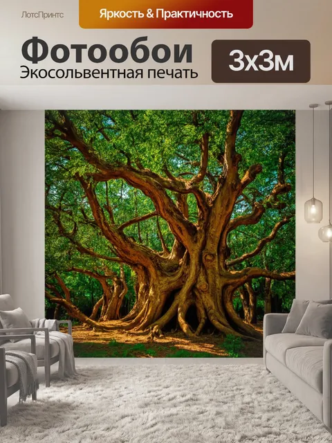 Фотообои лес из старых деревьев, с закрученными ветвями, как живописные скульптуры