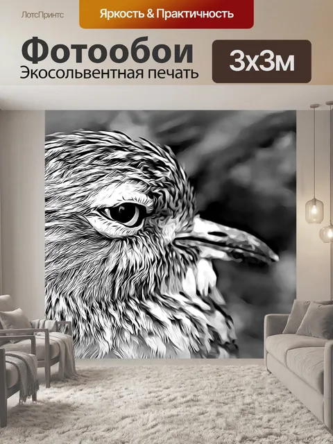 Фотообои Птица