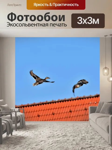 Фотообои Утка