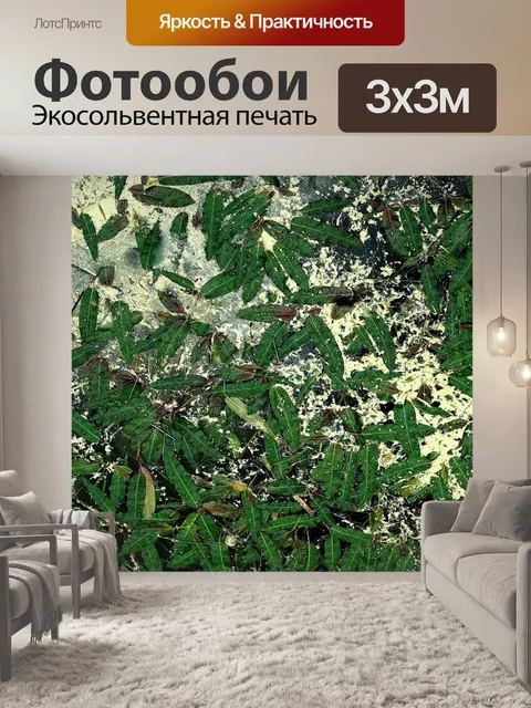 Фотообои Загрязнение