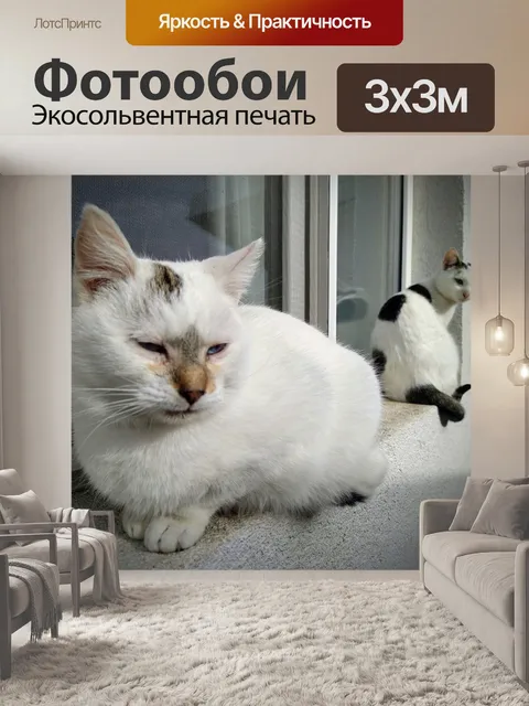 Фотообои Белая кошка