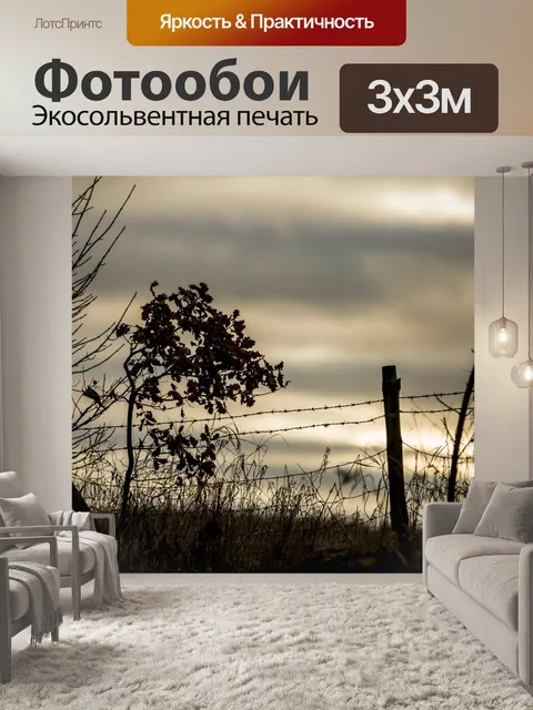 Фотообои Темный Пейзаж