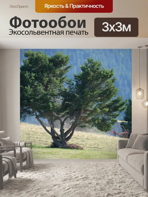 Фотообои Деревья