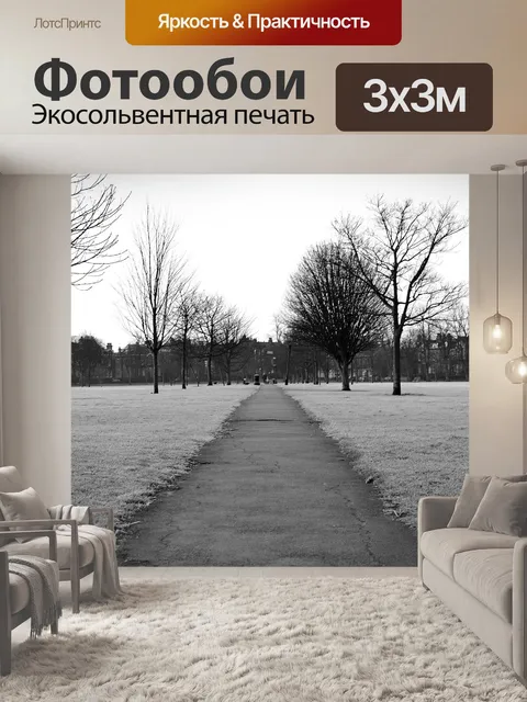 Фотообои зимний иней в парке