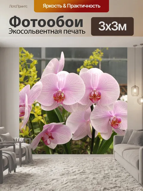 Фотообои Цветочный садик