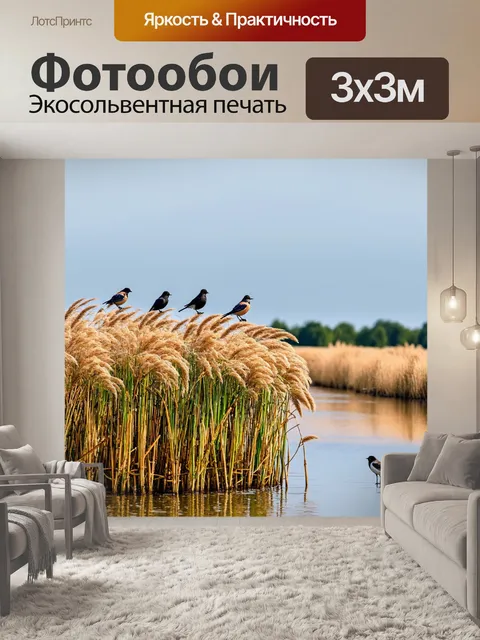 Фотообои камыш у реки, где на его вершинах сидят птицы, создавая живую сцену, полную природы, с отражениями в воде и…