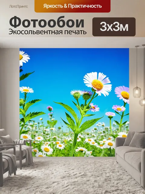 Фотообои цветы в стиле стикер с полевыми цветами, такими как василёк и ромашки, на фоне голубого неба