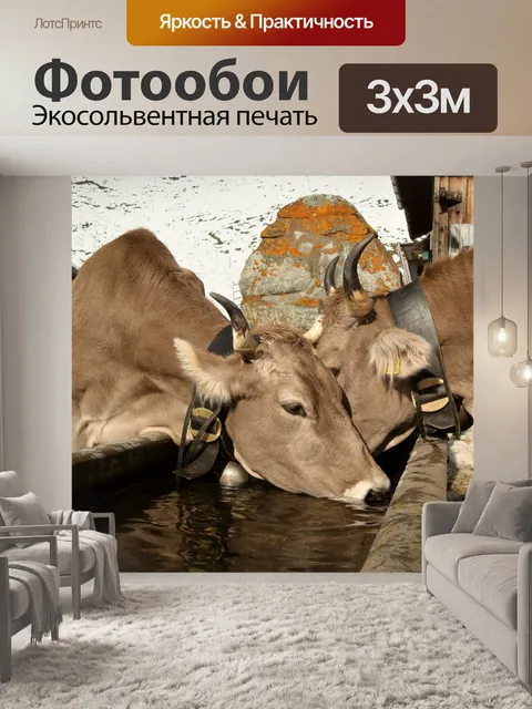Фотообои Млекопитающее