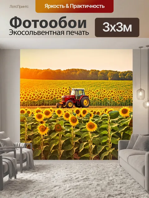 Фотообои утро: пейзаж с бескрайними полями подсолнухов