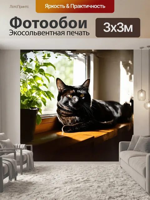 Фотообои черный кот, уютно устроившийся на окошке, нежно прищуривает глаза на солнечном свету, который проникает…