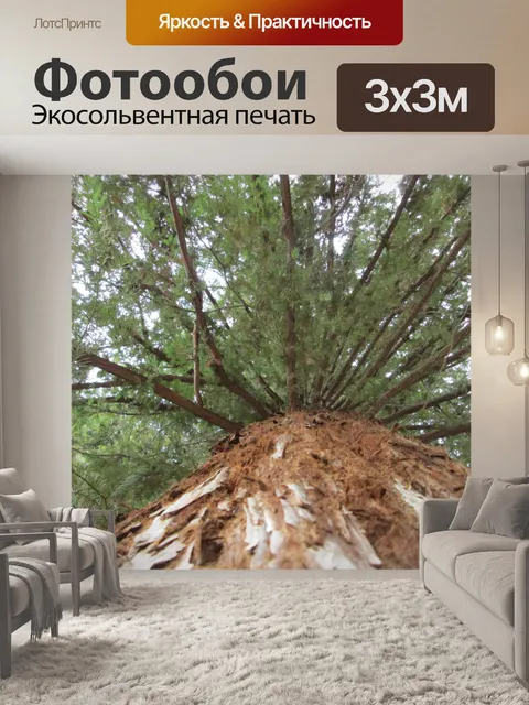 Фотообои Дерево Перспектива 43