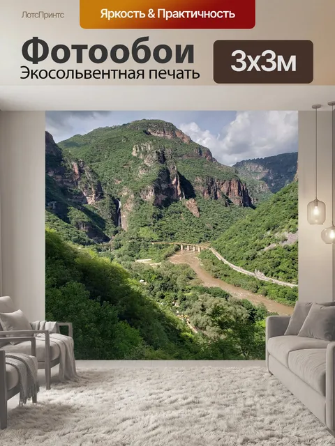 Фотообои Чихуахуа