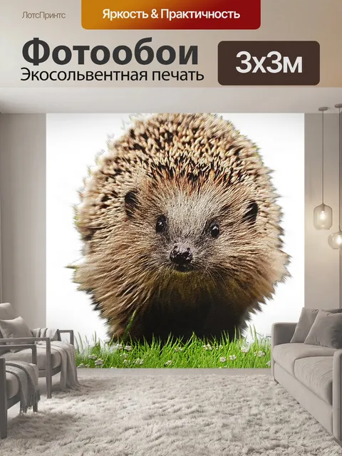 Фотообои Ежик милый арт