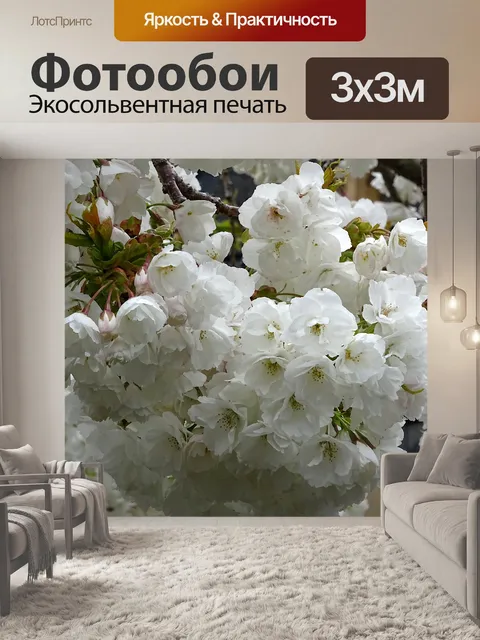 Фотообои Белое цветущее вишневое дерево