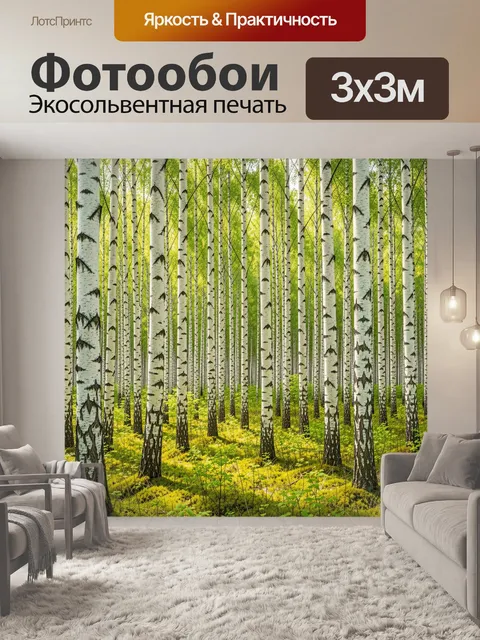 Фотообои Берёзовый лес с зелёным подлеском