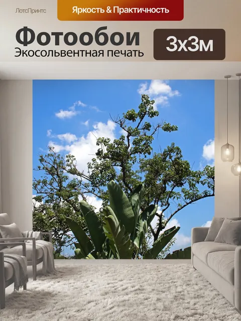 Фотообои листья гигантской стрелиции