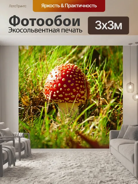 Фотообои Гриб