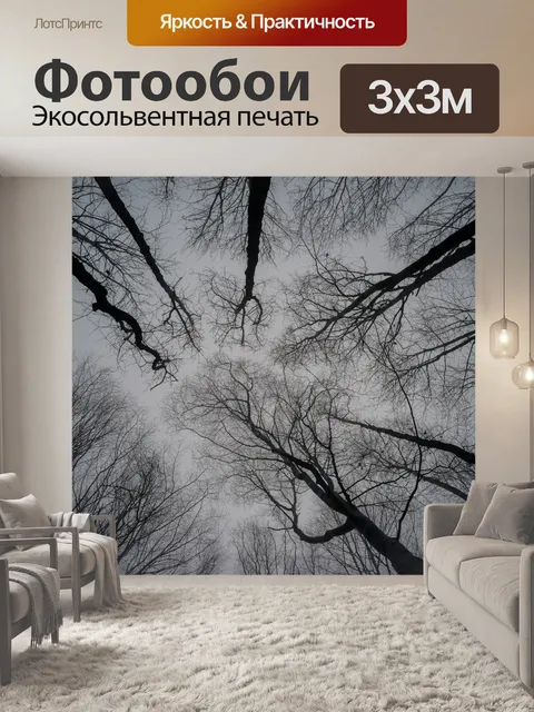 Фотообои В деревьев