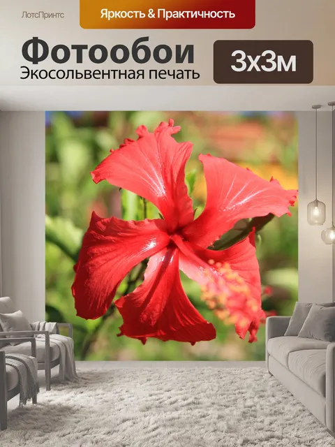 Фотообои Красивый красный цветок
