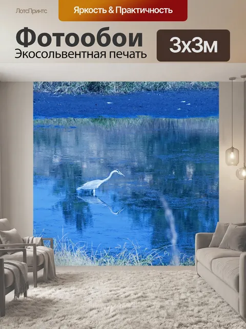 Фотообои серая цапля в мелководном бассейне