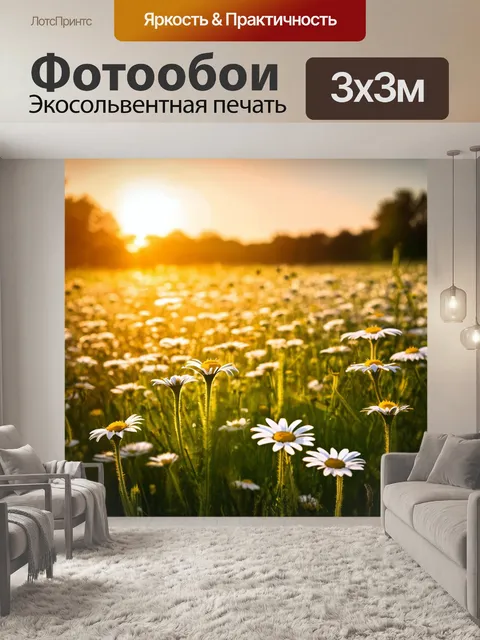 Фотообои пейзаж, где поле ромашек встречает заходящее солнце
