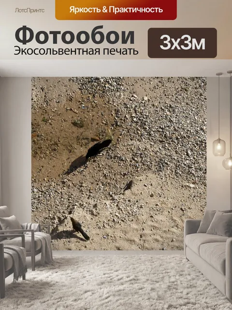 Фотообои Два черных птиц