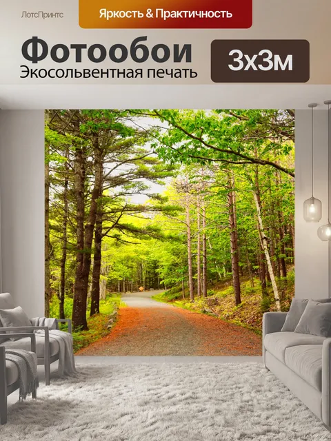 Фотообои Извилистая дорога