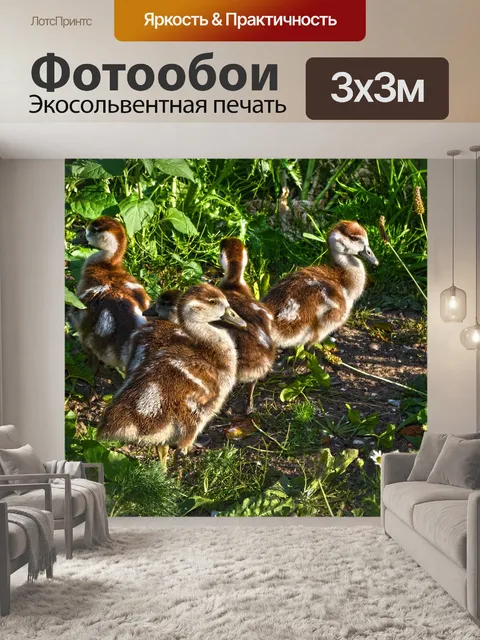 Фотообои Нил гусь