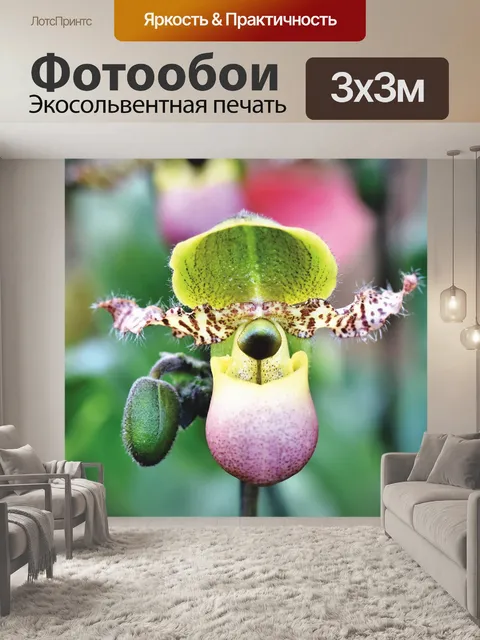 Фотообои Орхидеи