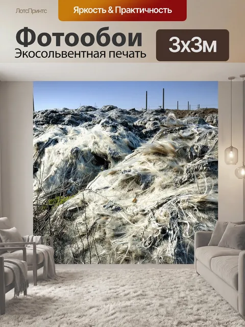 Фотообои Concepts