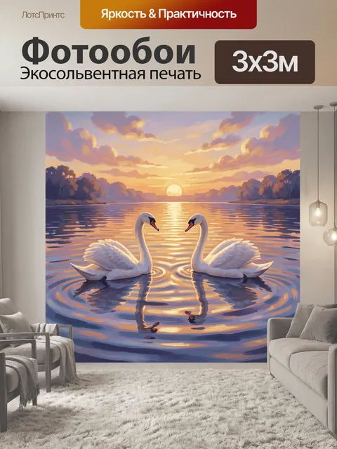 Фотообои Пара лебедей на вечерней воде