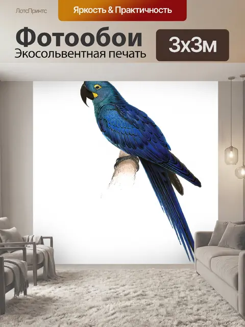 Фотообои Гиацинт ара