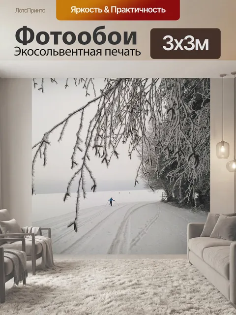 Фотообои Беговые лыжи