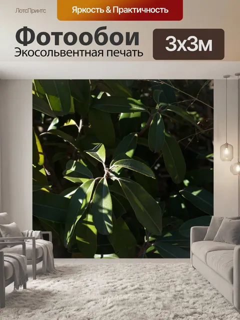 Фотообои солнечный свет на блестящих зеленых лист