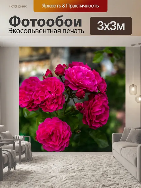 Фотообои Розы