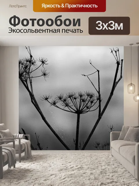 Фотообои Черное и белое
