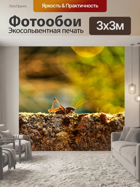 Фотообои Кузнечик