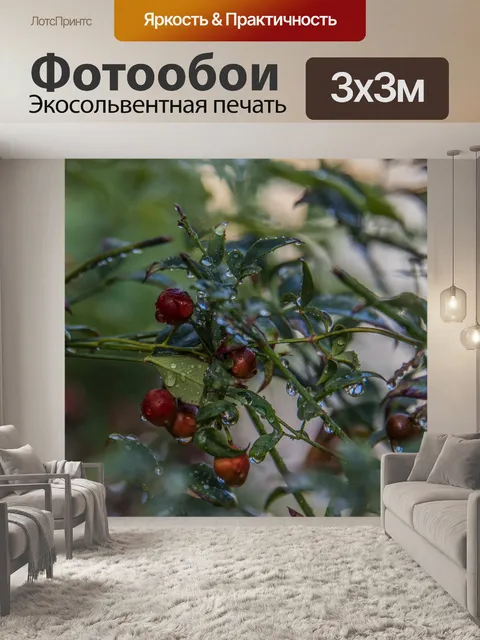 Фотообои После дождя