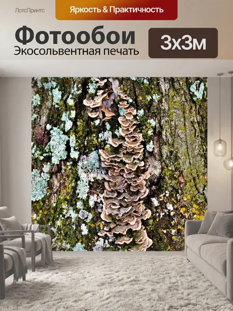 Фотообои Красочные грибы, растущие на дереве