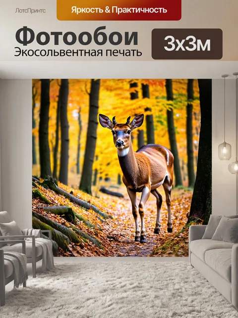 Фотообои животные, олени, гуляющие по осеннему лесу