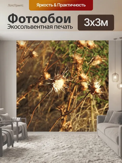 Фотообои Цветы