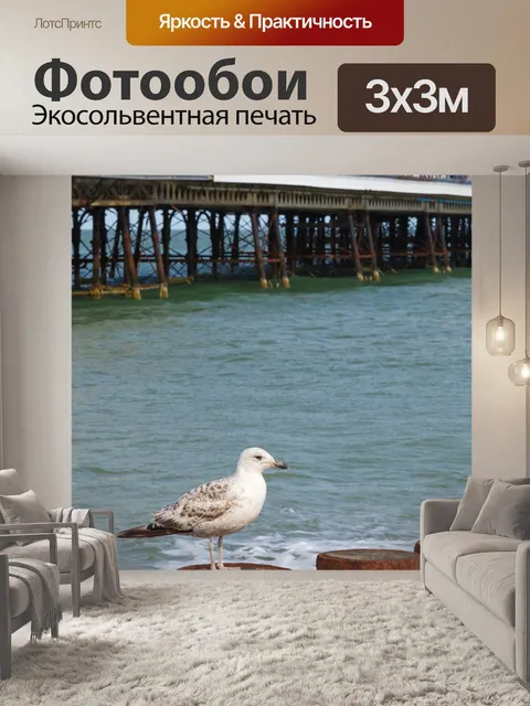 Фотообои Чайка и пирс