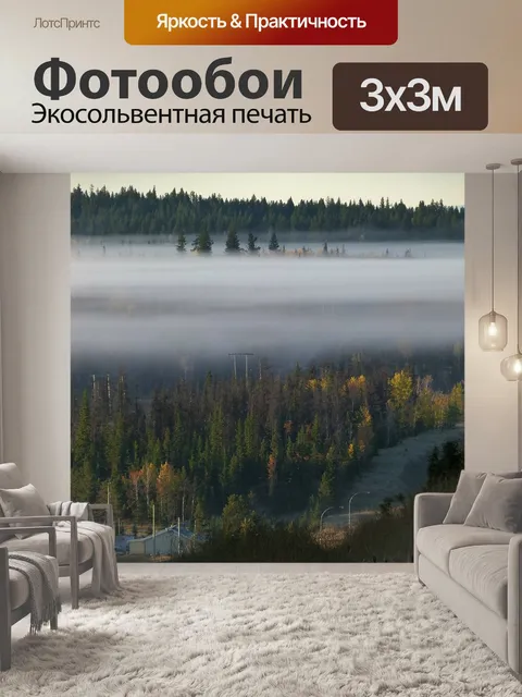 Фотообои Банка тумана