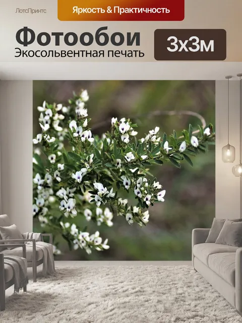 Фотообои Полевые цветы
