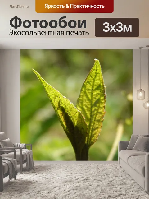 Фотообои Вспышка