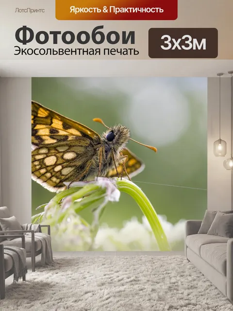 Фотообои Клетчатый шкипер