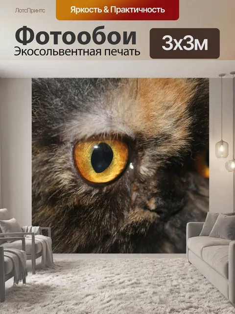 Фотообои Глаза кошки