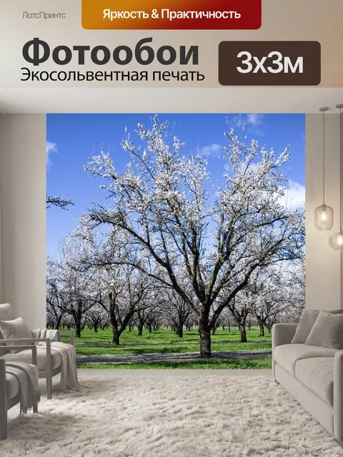 Фотообои Цветок