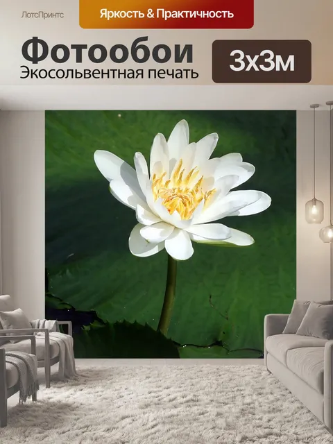 Фотообои Водяная лилия